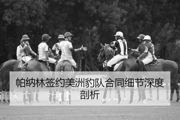 帕纳林签约美洲豹队合同细节深度剖析